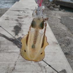 季節外れの寒さ